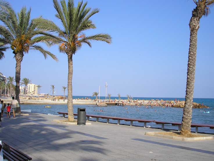 Torrevieja Promenade - Large Picture 